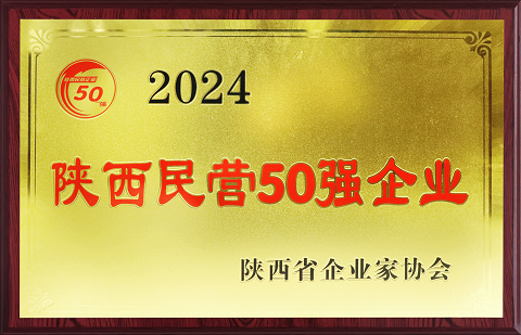 2024年陜西民營企業50強